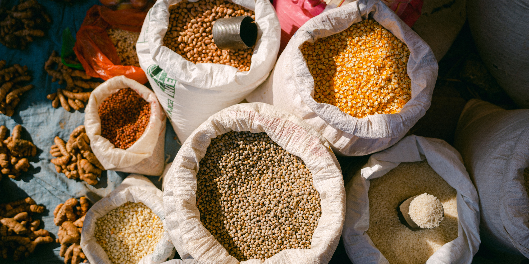 Atalık Tohum Bakliyatlar ile Besleyici Tarifler