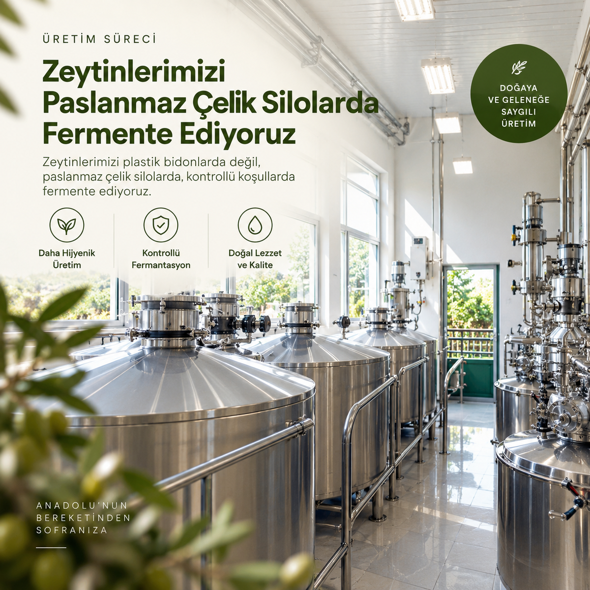 Halhali Zeytin İkilisi