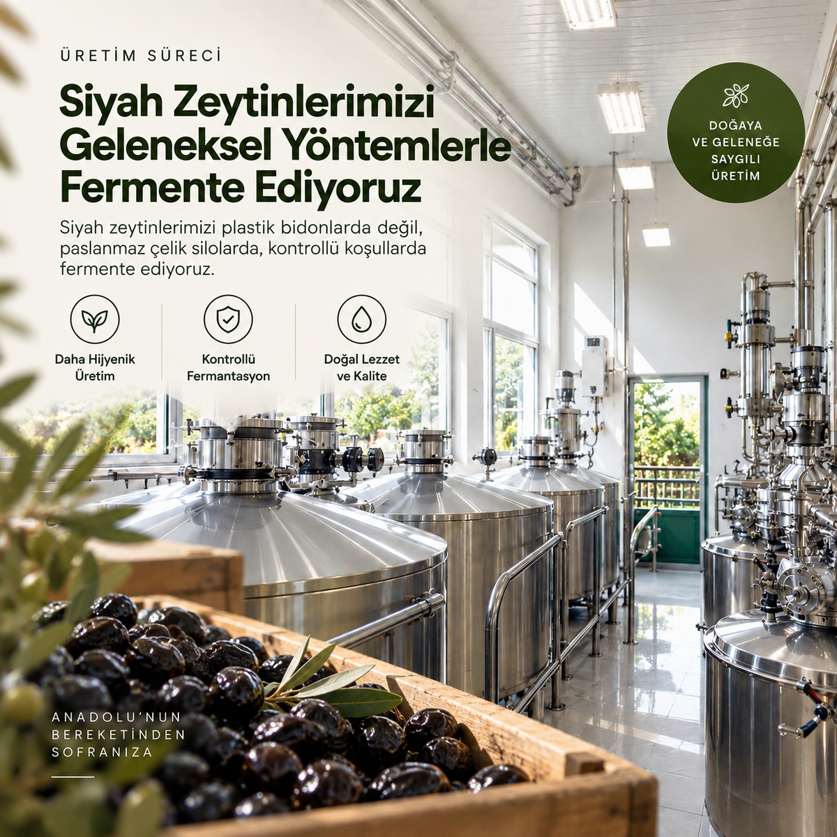 Doğal Halhali Siyah Zeytin