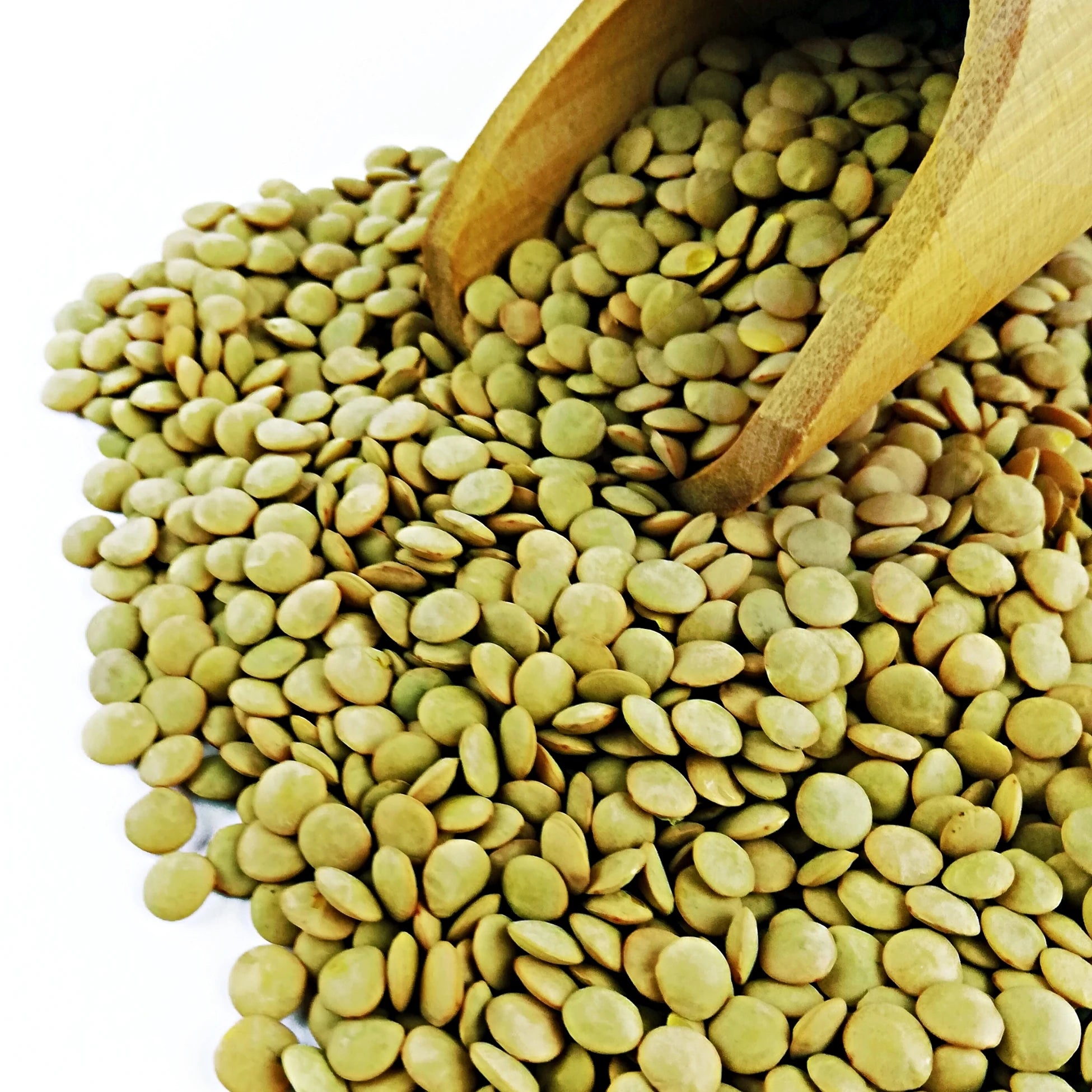 BioFresh Organics atalık tohum yeşil mercimek – heirloom yerli tohum katkısız doğal yeşil mercimek