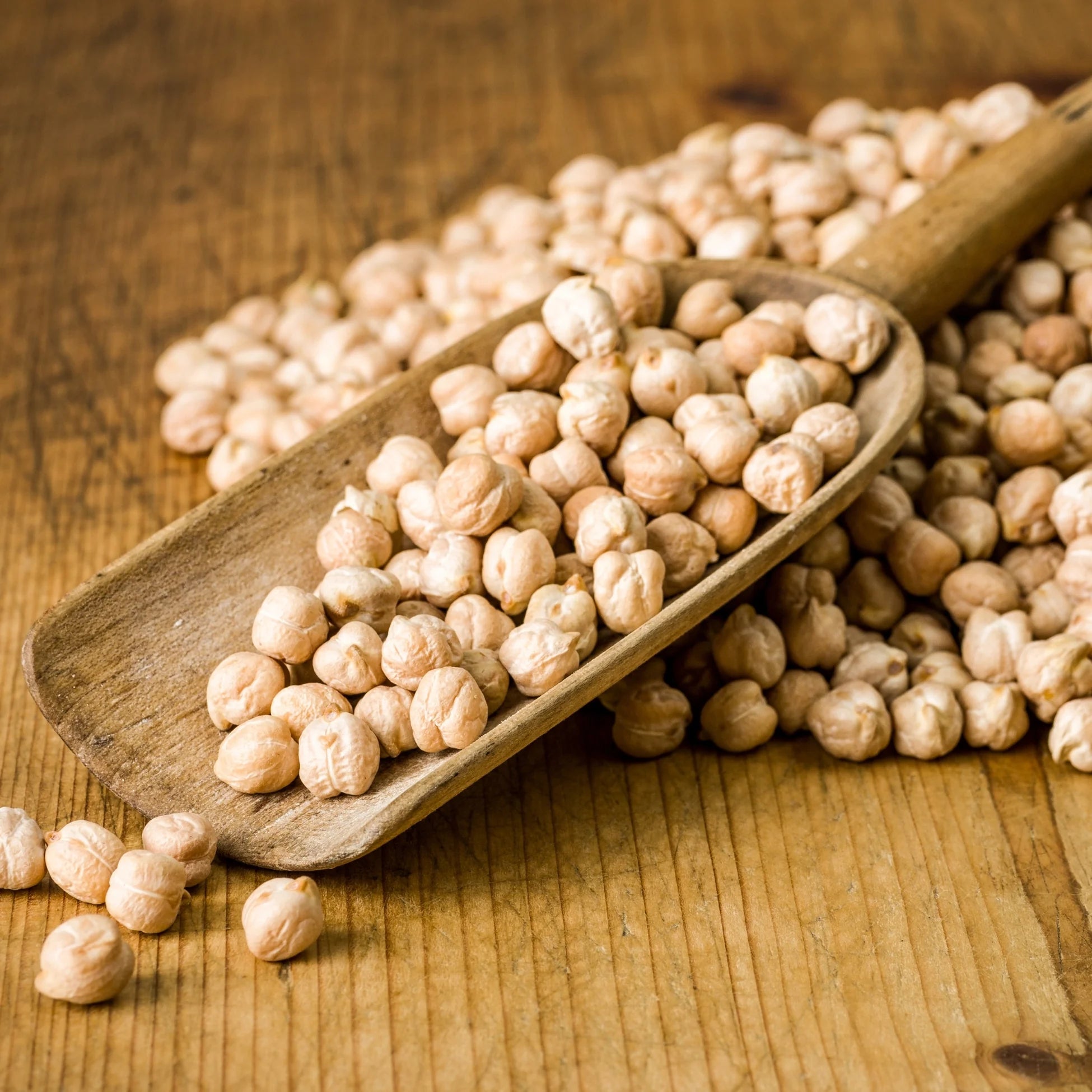 BioFresh Organics atalık yerli nohut – heirloom tohum doğal katkısız geleneksel nohut