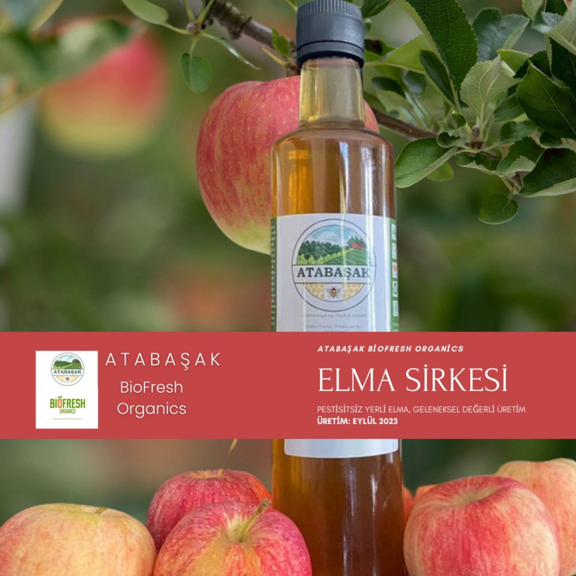 BioFresh Organics doğal elma sirkesi – geleneksel fermantasyon yöntemiyle üretilmiş katkısız elma sirkesi