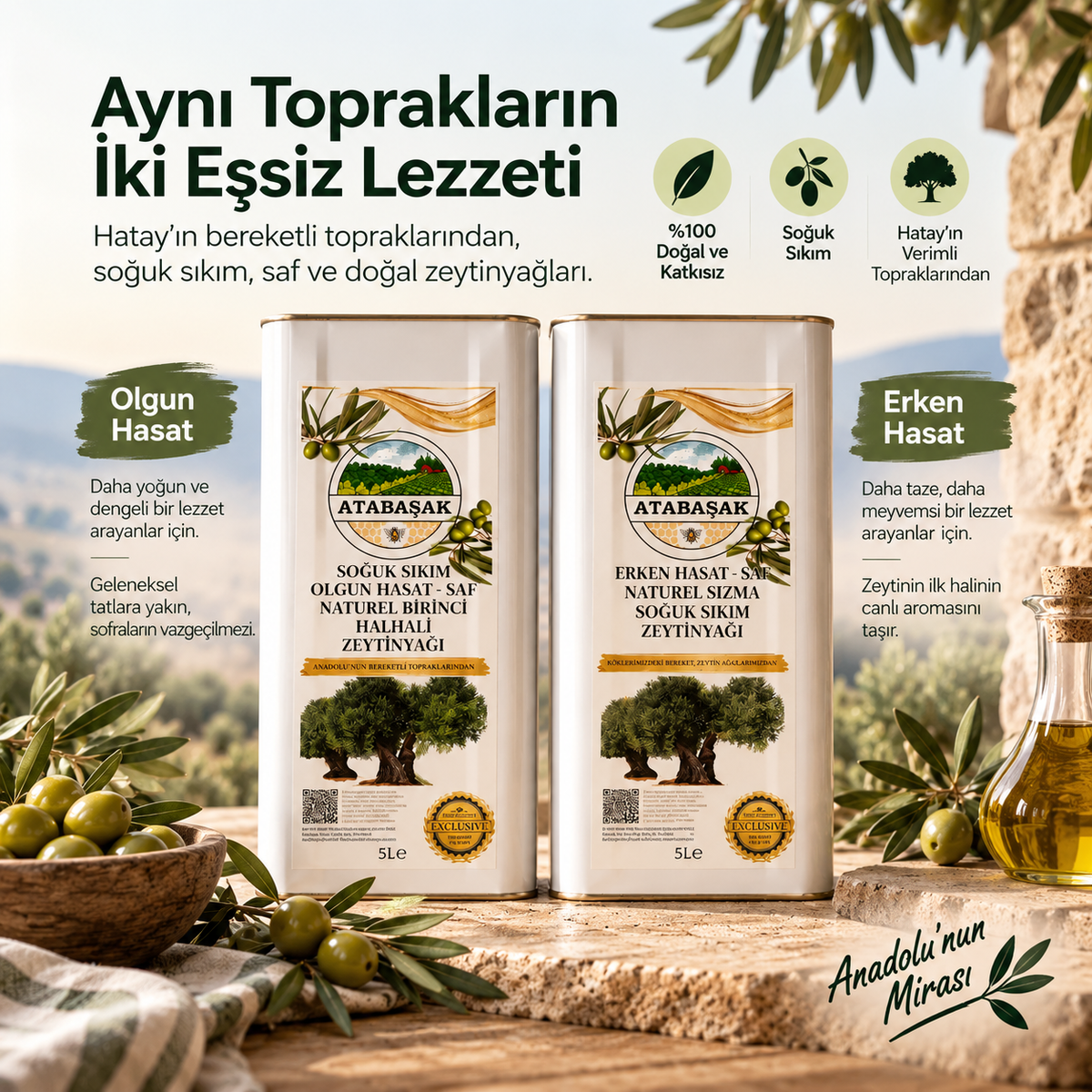 Olgun Hasat Soğuk Sıkım Halhali Teneke Zeytinyağı
