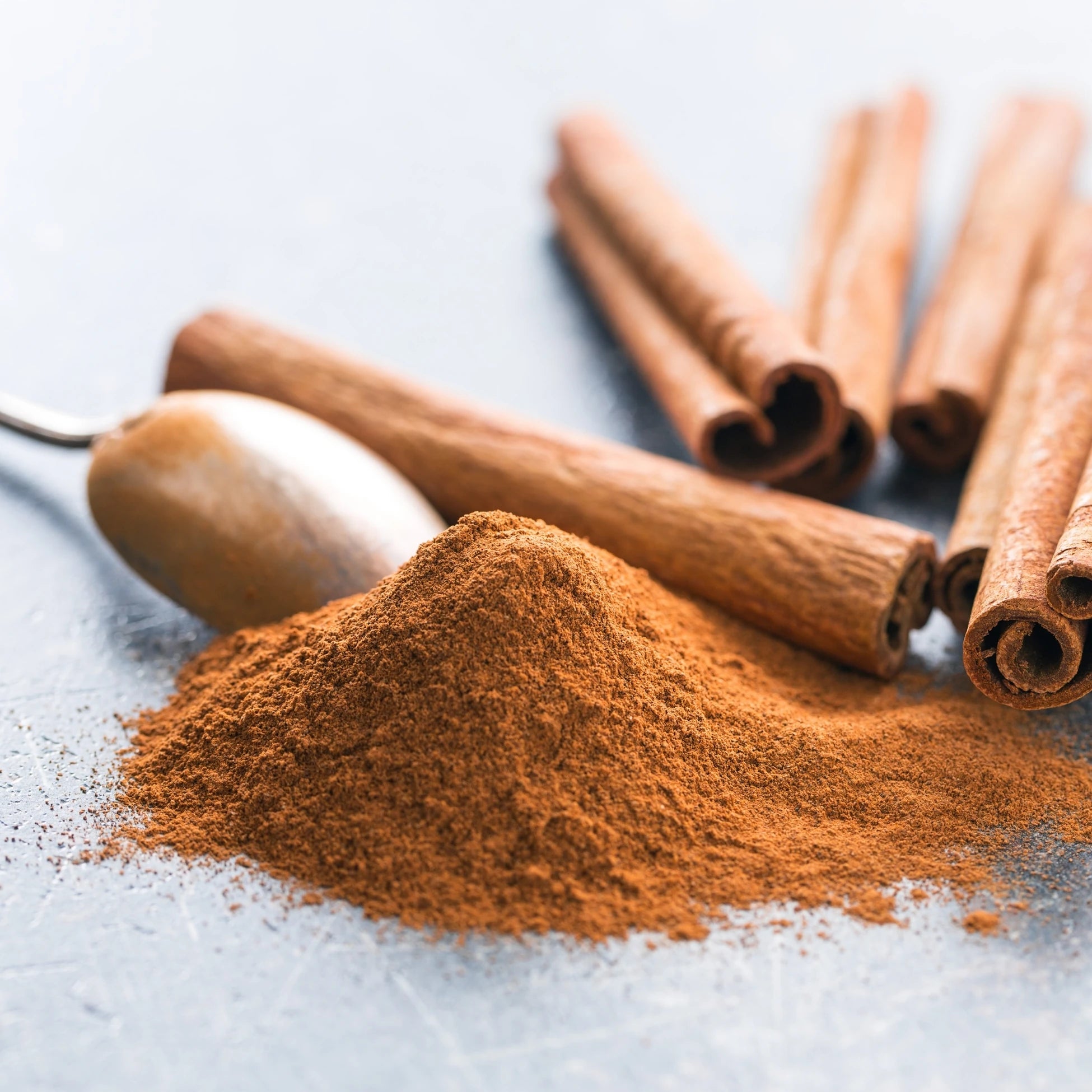 Seylan (Seylon) Toz Tarçın